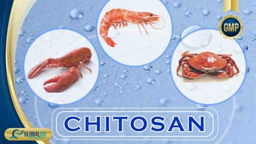 Chitosan thực phẩm bảo vệ sức khỏe