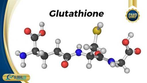 Thành phần glutathione
