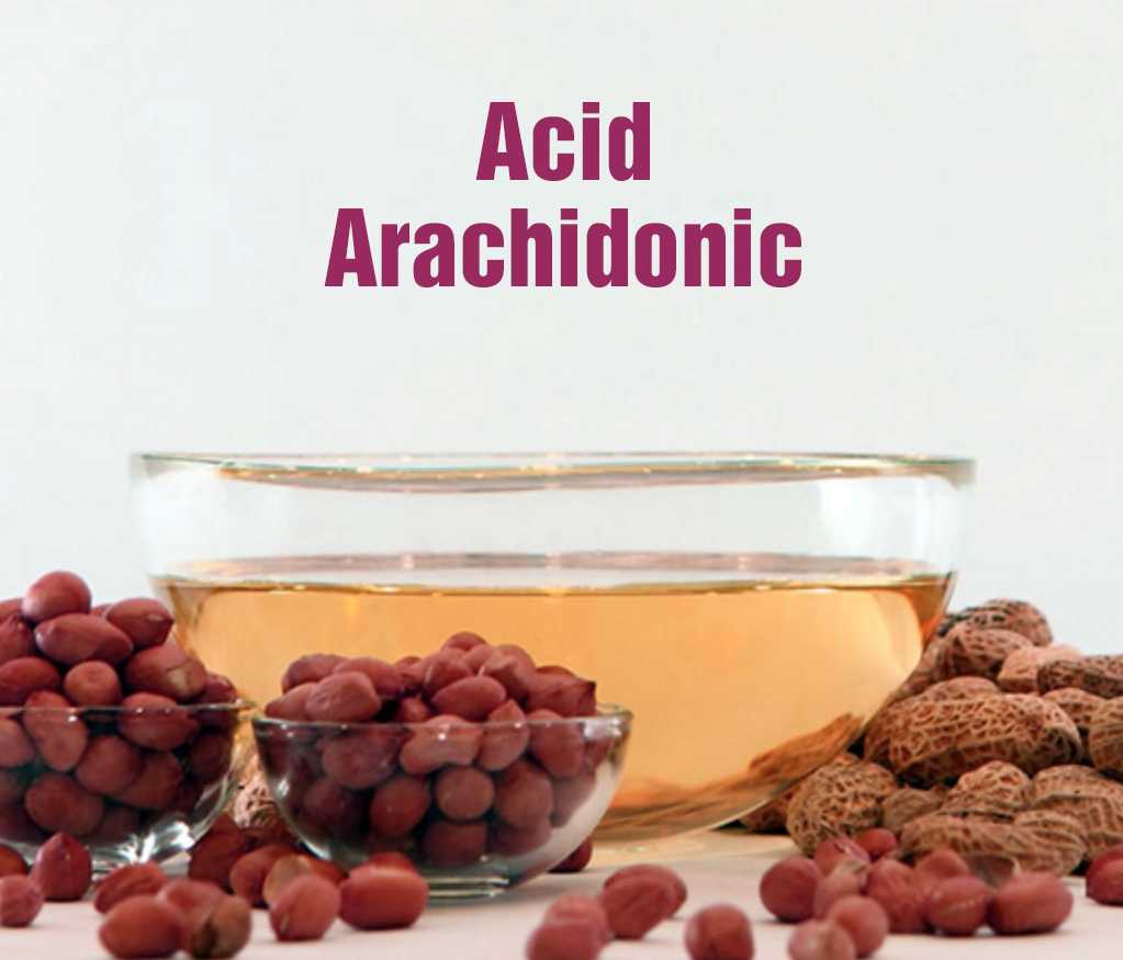 Thực phẩm chứa axit arachidonic