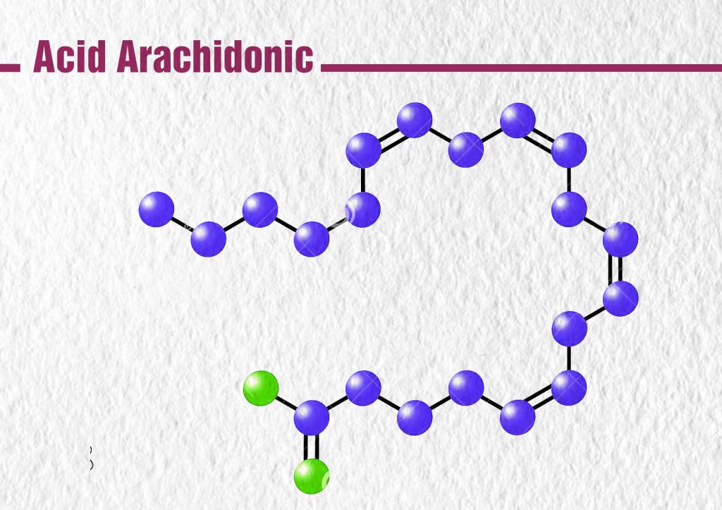 Một số tác dụng phụ axit arachidonic