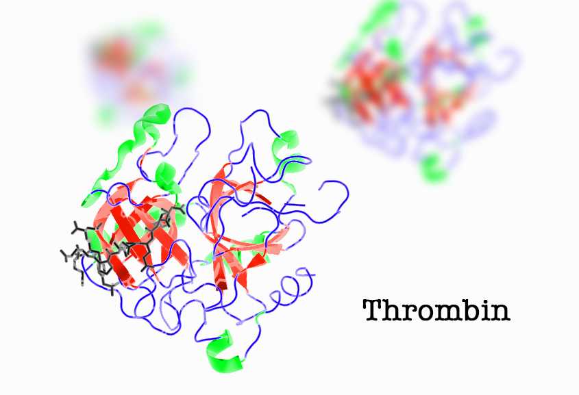 Thrombin là gì