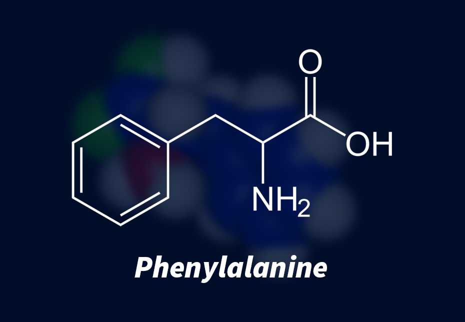 Phenylalanine là gì