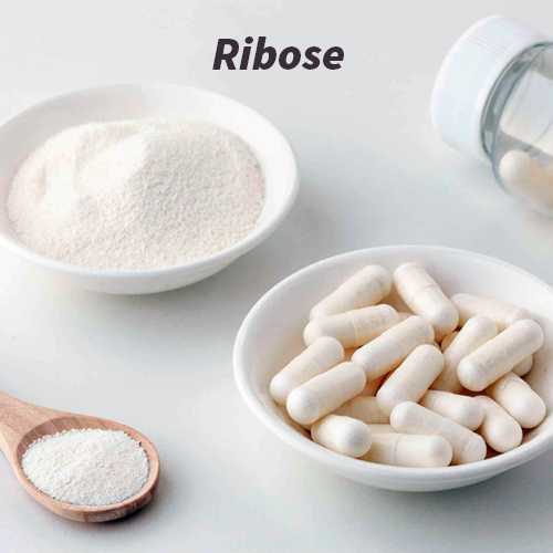 Ribose là gì
