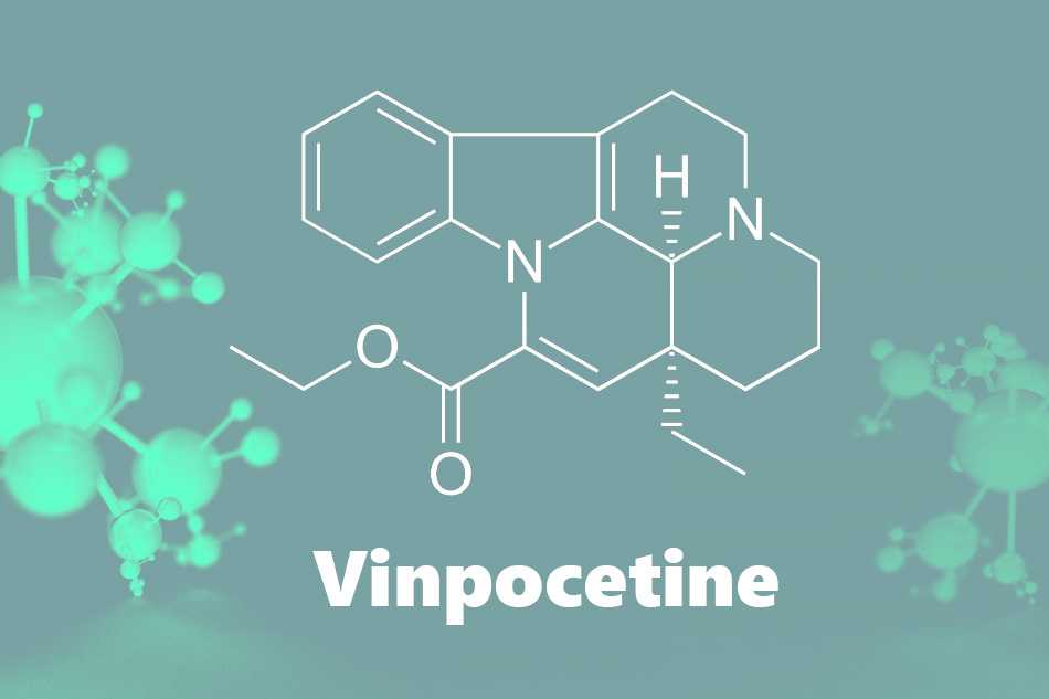Vinpocetin là thuốc gì